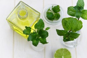 homemade bug repellent -- photo of jar of oil with herb sprigs