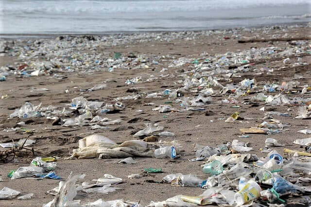 photo of beach litter