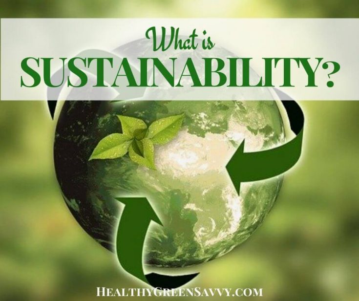 What Is Sustainability And Why Does It Matter 