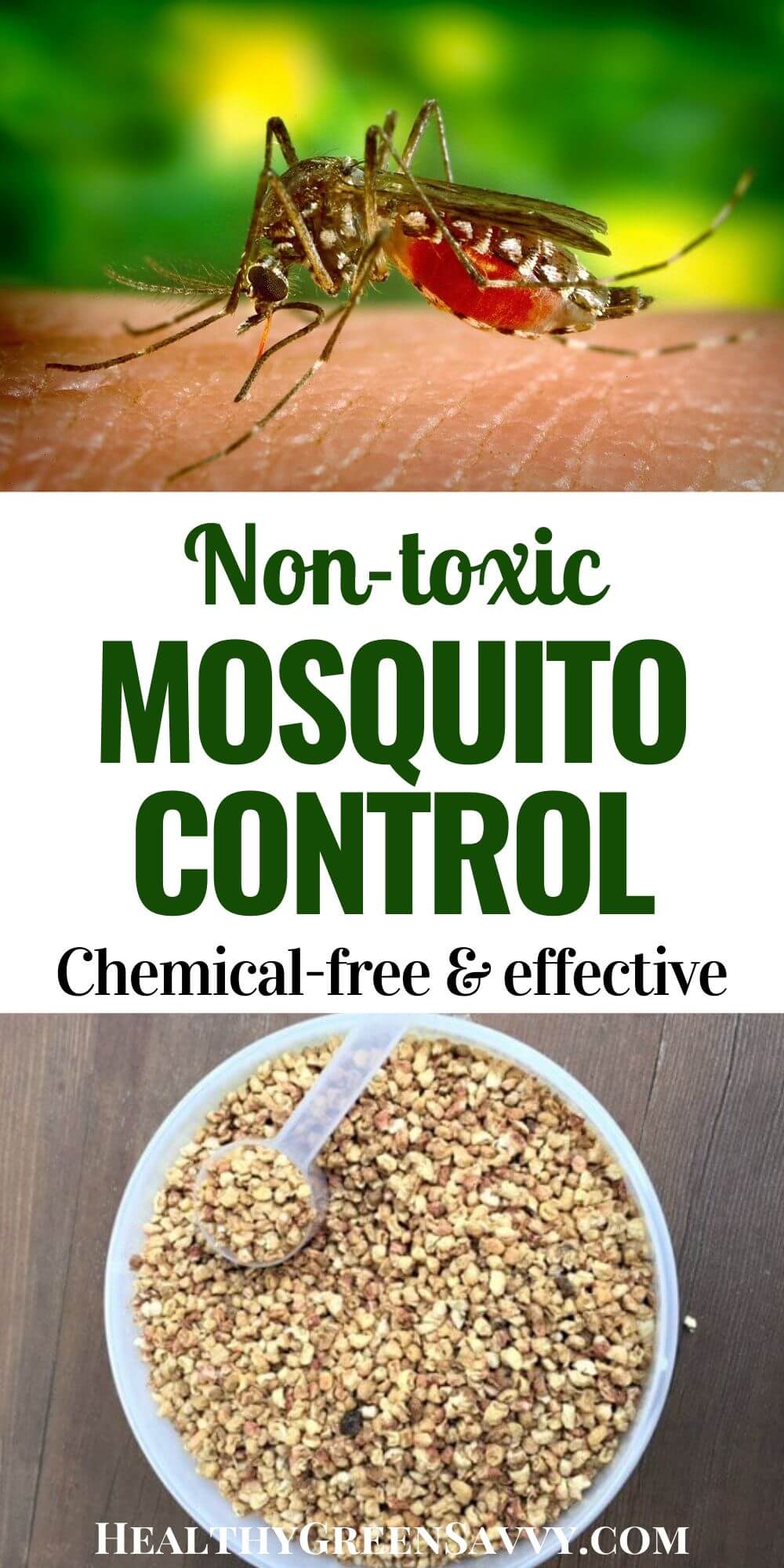 Natural Mosquito Control An Effective, NonToxic Solution