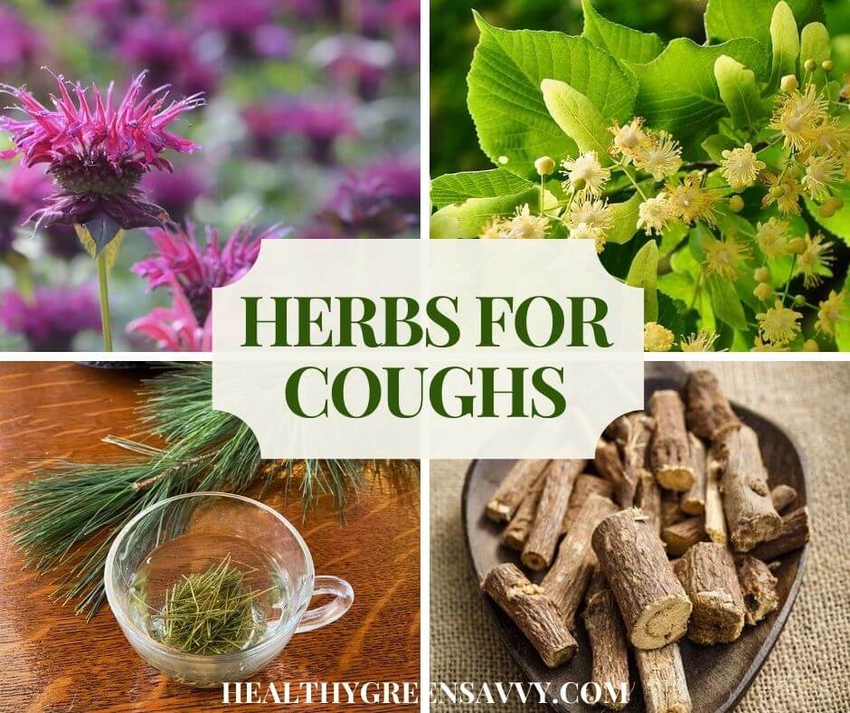 Best Herbs For Cough 20 Herbal Remedies For Coughs