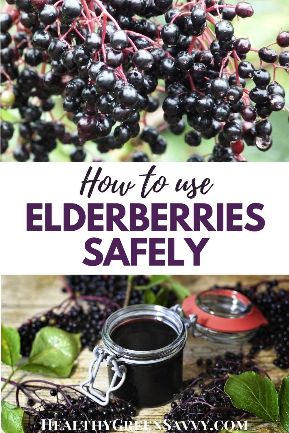 Are Elderberries Poisonous To Cats at Philip Banning blog