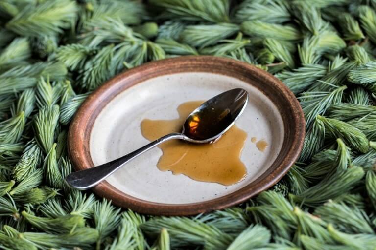 Photo of Spruce Tip Syrup by Forager Chef