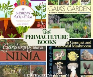 10 Best Permaculture Books to Read in 2024