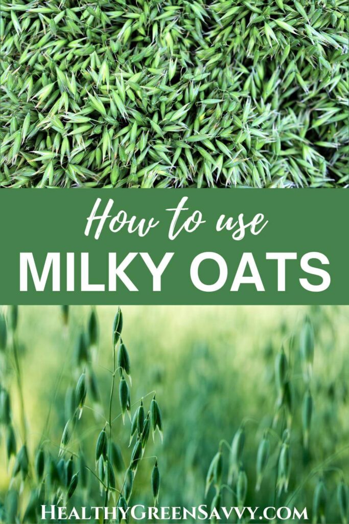 pin with photos of milky oats growing with title text