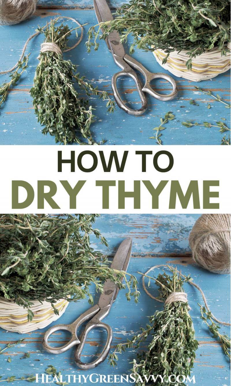 How to Dry Thyme 5 Easy Ways - HealthyGreenSavvy