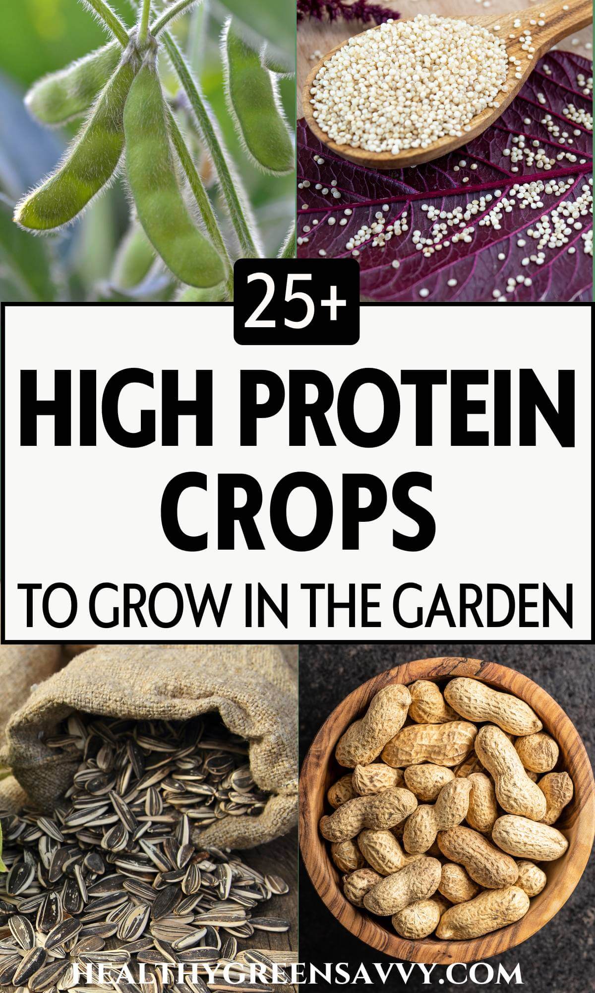 25 High Protein Vegetables You Can Grow In Your Garden