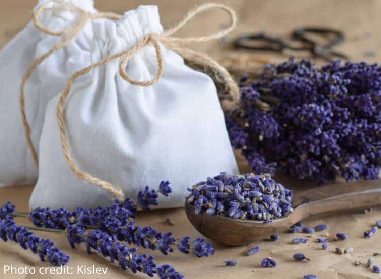 photo of muslin bags filled with dried lavender, excellent sustainable gift ideas